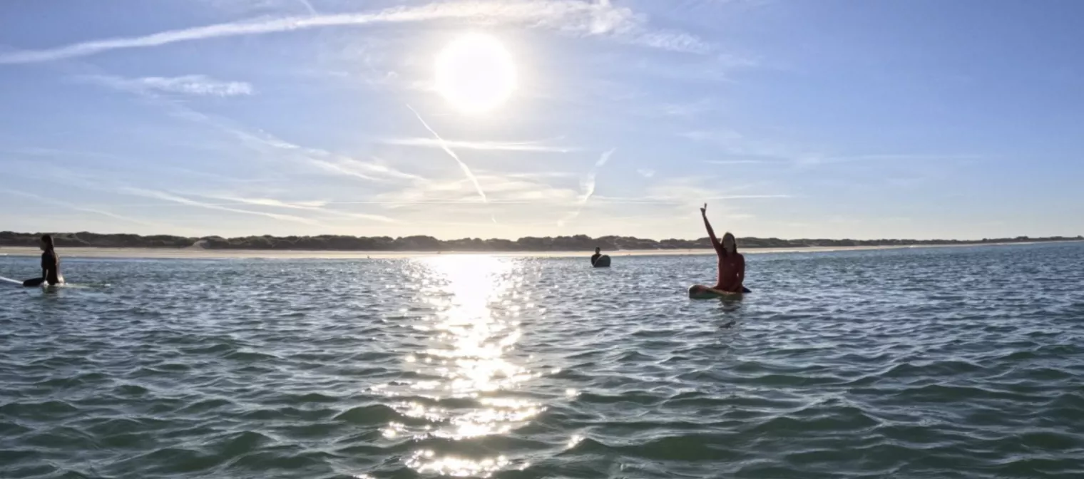 Aloa Surf met à disposition de ses adhérents quelques planches et autres accessoires pour débuter. Les planches peuvent être empruntées à Nantes.